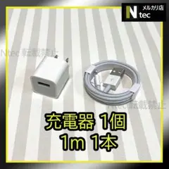 1mケーブル＆充電器(計2点) ACアダプター ライトニング