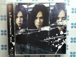 CD　Acid Black Cherry「冬の幻」　初回盤B　DVD付き　帯付き