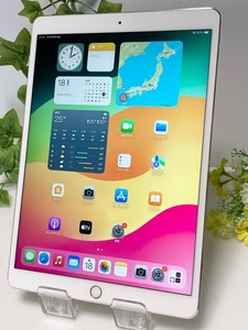 Apple au SIMフリー iPad Pro (10.5インチ) シルバー 256GB MPHH2J/A Wi-Fi+Cellular バッテリー最大容量79% 中古 A6806