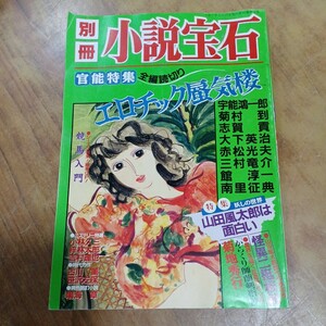 別冊 小説宝石 平成7年5月15日発行 光文社 官能特集 全編読切り エロチック蜃気楼 競馬入門 菊地秀行等 中古 長期保管品 現状品 平成レトロ