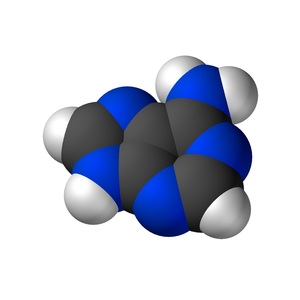 アデニン 99% 5g C5H5N5 6-アミノプリン 生化学用 有機化合物 試薬 化学薬品 販売 購入