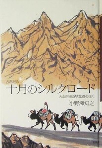 古希記念 十月のシルクロード 天山南路西域北道を往く/小野沢知之(著者)