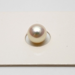 アコヤ真珠パールルース　7.5-8.0mm　ホワイトピンクカラー