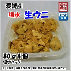 生ウニ 塩水ウニ （80g×4個） 愛媛 天然 紫ウニ 赤ウニ 期間限定 8月上旬~10月末 素潜り海士 送料無料 北海道/沖縄/東北は別途送料