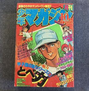 月刊少年マガジン 1980年10月号 ケサランパサラン/三浦みつる ぼくらのバカンス 釣りキチ三平矢口 甲子園の詩/貝塚ひろし これで兄妹