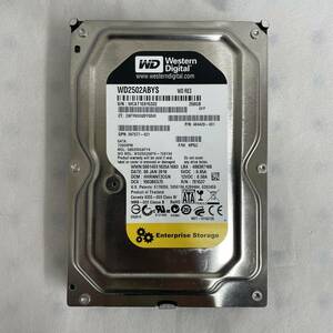 Western Digital／ウェスタンデジタル／WD2502ABYS／WDRE3／250GB／HDD／ハードディスク