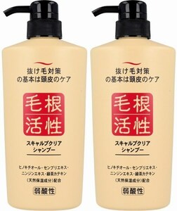 2本　スキャルプクリア シャンプー 550mL　抜け毛対策の基本は頭皮ケアから。髪を育てる毛根の活性化を助け、うるおいを保ち、しなやかに。