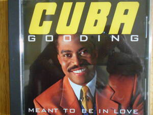 ほぼ未使用 キズなし Cuba Gooding / Meant To Be In Love キューバ グッディング Main Ingredient メイン イングリーディエント ソウル