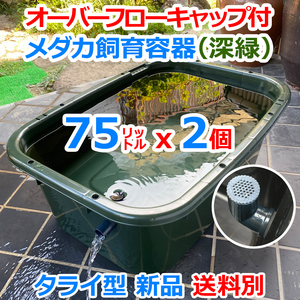 ★新色★メダカ飼育容器【75㍑ 深緑x2個 オーバーフローキャップ付】送料別 メダカ水槽 メダカ飼育ケース 金魚飼育 タライ【五色アクア】