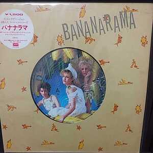 12inch 国内盤/BANANARAMA SHY BOY