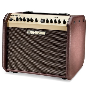 FISHMAN LOUDBOX MINI Bluetooth フィッシュマン エレアコアンプ アンプカバープレゼント 店頭展示品