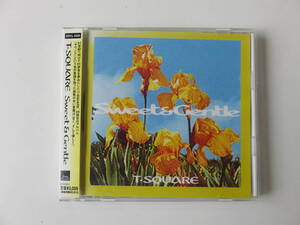 【中古】T-Square Sweet & Gentle T-スクエア スウィートアンド ジェントル CD