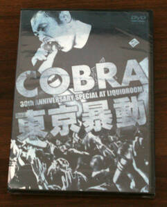 COBRA 東京暴動 未開封 / Promo, DVD / コブラ, Punk, Oi, オイパンク