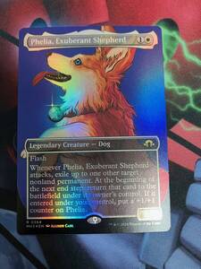 MTG　溌剌の牧羊犬、フィリア/Phelia, Exuberant Shepherd　英語　ボーダーレス　Foil