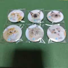 猫カフェ moff イオンモール豊川店 ガチャガチャ缶バッジ