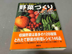 【ヤケあり】野菜づくり大図鑑 藤田智