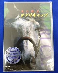 新品未使用品 魂の激走 オグリキャップ DVD 伝説の競走馬 JRA 武豊騎手 地方競馬 ノーカット 血統表 出走表 着順表 安藤勝己 管55291825