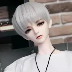 ドールウィッグ 8~9インチ ショートヘア シルバー SD BJD 男性 銀髪