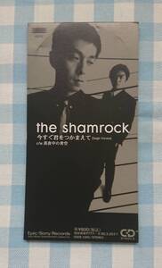 断捨離記念セール♪ 激レア・貴重CD(新品&入手困難)the shamrock【今すぐ君をつかまえて/真夜中の青空】