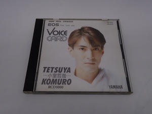 VOICE CARD RCD1000 小室哲哉 TETSUYA KOMURO YAMAHA DIGITAL SYNTHESIZER EOS YS100/YS200/B200 