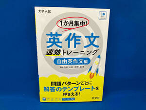 大学入試 1か月集中!英作文 速効トレーニング 自由英作文編 水野卓