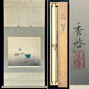 【模写】秀啓「翡翠」掛軸 絹本 花鳥図 鳥獣 日本画 日本美術 人が書いたもの 共箱 Ｈ040430