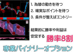 【プロトレーダー監修】 専業 バイナリーオプション 勝率8割 サインツール 必勝法 シグナルツール システム MT4 ハイローオーストラリア