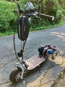 go-ped BigFoot S.T Custom A Type キックボード 公道走行可 スクーター