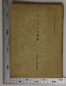 図録『おしらさま図録 日本常民文化研究所彙報 第五六』日本常民文化研究所編 補足:オシラ様/八戸/雫石/盛岡/附馬牛/遠野/池谷堂/赤崎/廣田