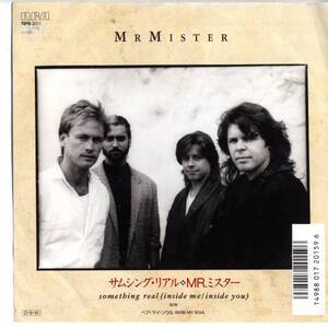 Mr. Mister 「Something Real」　国内盤EPレコード