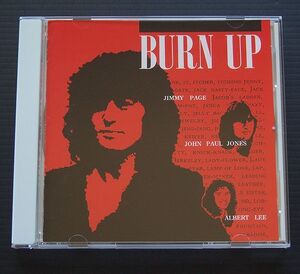 CD ケース新品 国内盤 ジミー・ペイジ/ジョン・ポール/ジョン・ポール・ジョーンズ/アルバート・リー「炎帝 BURN UP」93年発売 JICK-89272