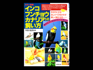 ■ インコ ブンチョウ カナリアなどの飼い方 ■