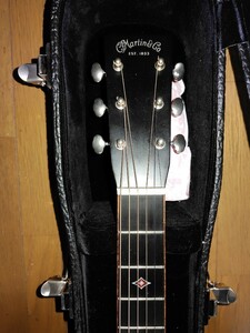 Martin CS-GP-14 　custom 日本に5台のみの入荷した逸品（ココボロ+グアテマラローズウッド）　豪華ハードケース付き 