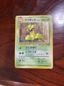 ポケモンカード ウツボット 初期