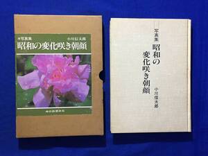 AA283サ●昭和56年 「写真集 昭和の変化咲き朝顔」 小川信太郎 中日新聞本社