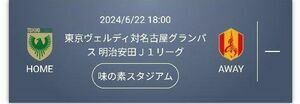 vT4　　2024/6/22 18:00 東京ヴェルディ対名古屋グランパス 明治安田Ｊ１リーグ 味の素スタジアム