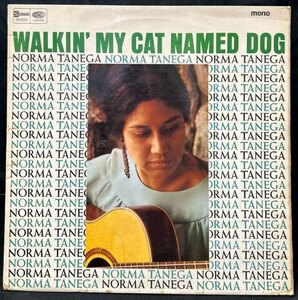 NORMA TANEGA / WALKIN