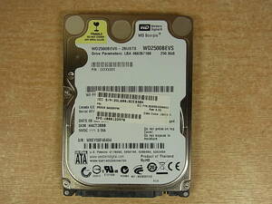 △B/771●ウエスタン・デジタル Western Digital☆2.5インチHDD(ハードディスク)☆250GB SATA150 5400rpm☆WD2500BEVS☆中古品