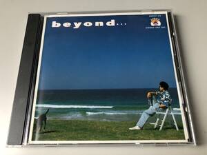 杉山清貴/beyond...