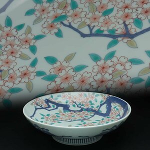 ZM077 江戸時代 色鍋島 色絵桜樹図皿 径30.3cm 櫛高台・色絵花図盛皿・盛鉢 和食器