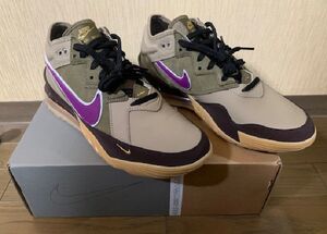 NO.343 Nike/ナイキ　レブロン 18 LOW×アトモス　Viotech　サイズ：27.5cm　美品