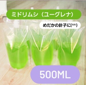 ミドリムシ（ユーグレナ）約500ml 針子に(^^)