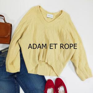 ADAM ET ROPE アダムエロペ ニット サイズフリー ホワイト Vネック リブ かわいい シンプル 3827