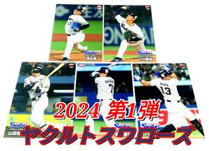 【 2024　第1弾　ヤクルトスワローズ 】　レギュラーカード　全5種セット　★　カルビープロ野球チップス 山田　長岡　オスナ　清水　小川