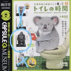 佐藤邦雄の動物たち トイレの時間2 ゴリラ　ガチャ