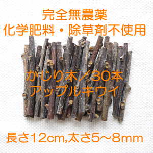 国産 完全無農薬 かじり木 中枝 太さ5～8mm 30本 キウイ枝 #01