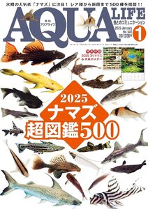 月刊アクアライフ 2025年1月号 ナマズ超図鑑500