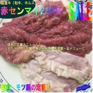 プロ用「国産赤センマイ2.5kg」九州産牛（和牛、ホルス）、焼肉・BBQに、もちろんモツ鍋最高！！