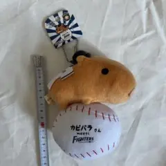 タグ付き カピバラさん プロ野球 ファイターズ ぬいぐるみ キーホルダー 日ハム