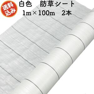 防草シート 白色（サンホワイト） 1m×100m 2本セット 抗菌剤 UV剤入り 反射 除草シート 太陽光 野菜 畑 農業